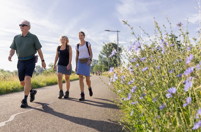 Rapport Wandelonderzoek 2025