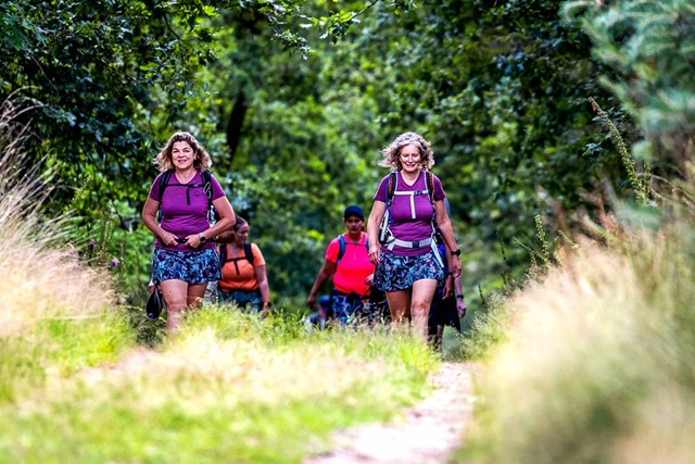Wandelaars lopen in een bos