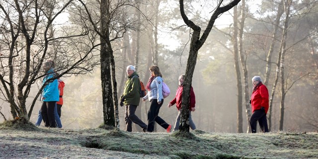 Trainingsgroep in bos met ochtendmist