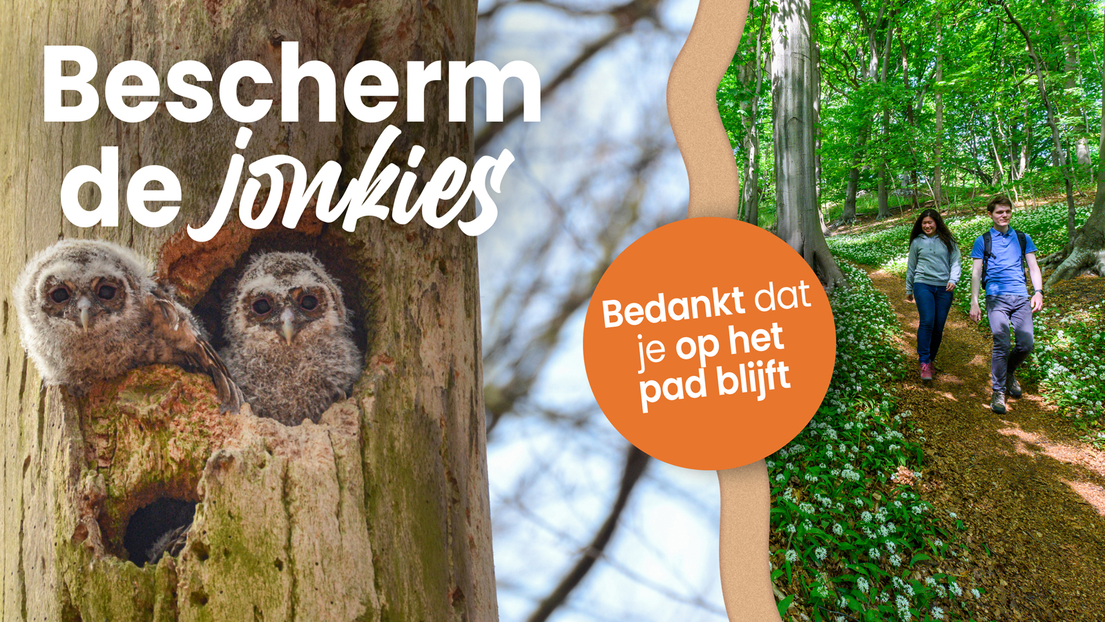 Header Campagne Broedseizoen Bescherm De Jonkies2