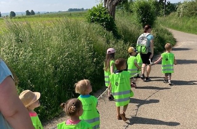 Peuters wandelen door de Limburgse velden tijdens de Peuter4daagse 2021