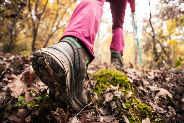 Welke stappenteller-app voor wandelaars Persoon wandelt in het bos
