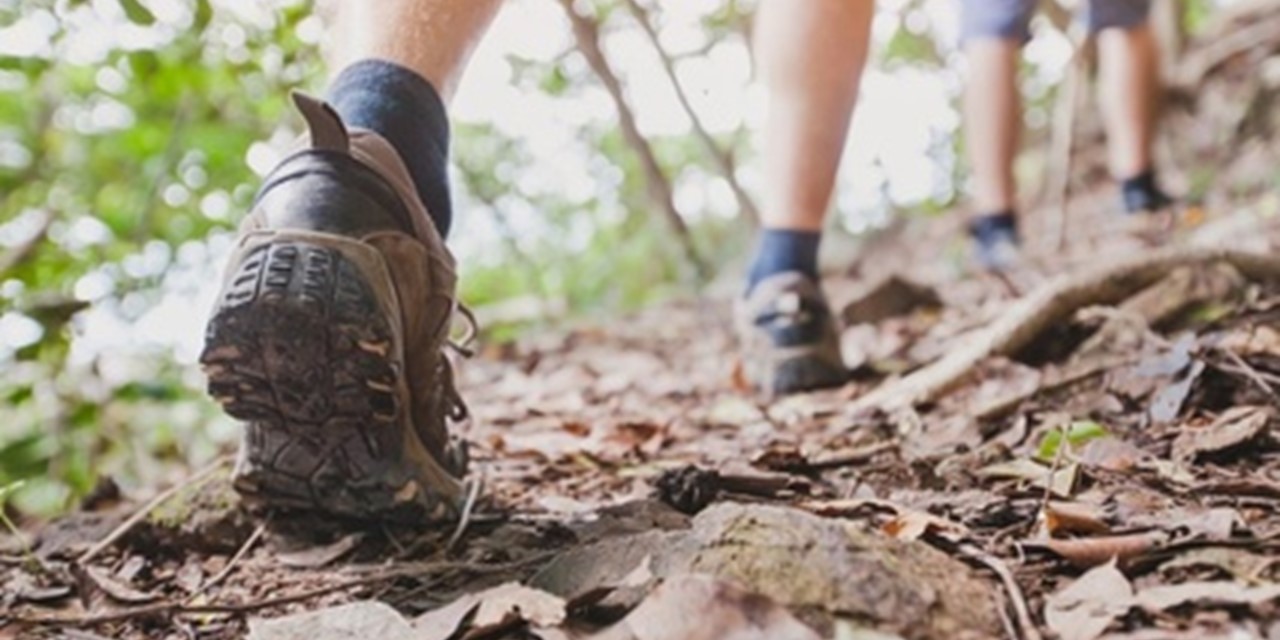 Lopende wandelschoenen en benen