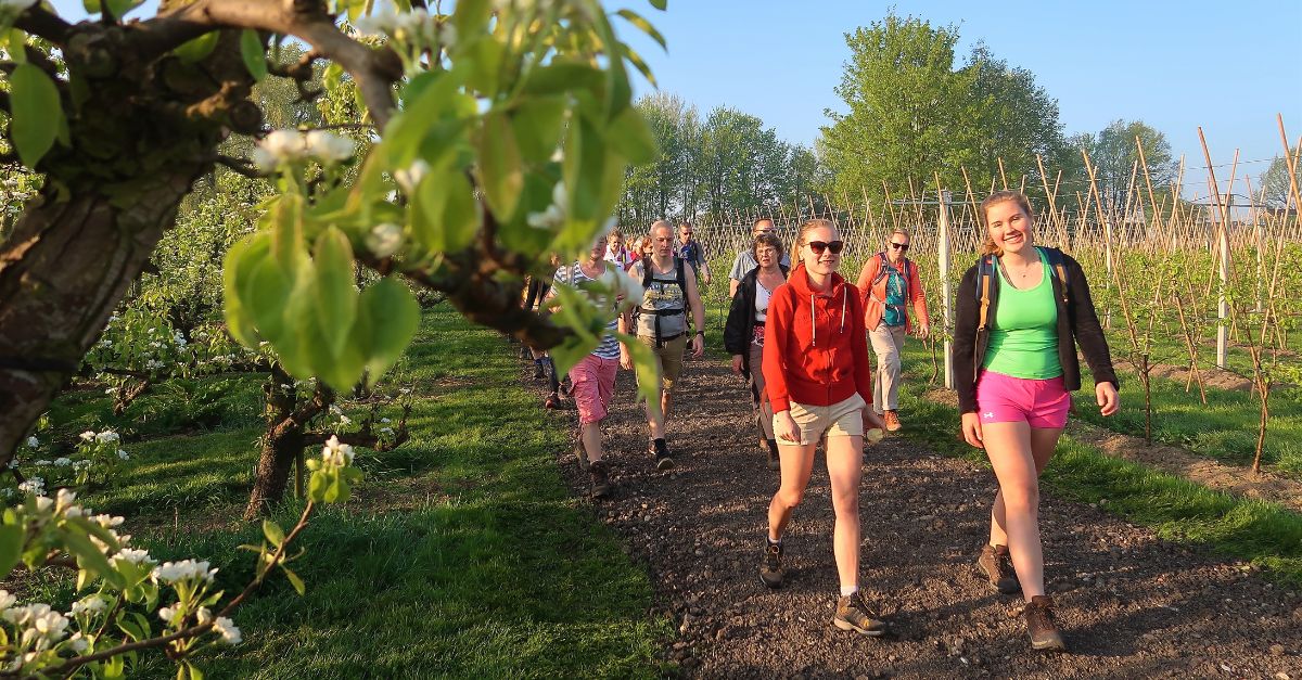 Jonge en oudere wandelaars lopen langs bomen met bloesem