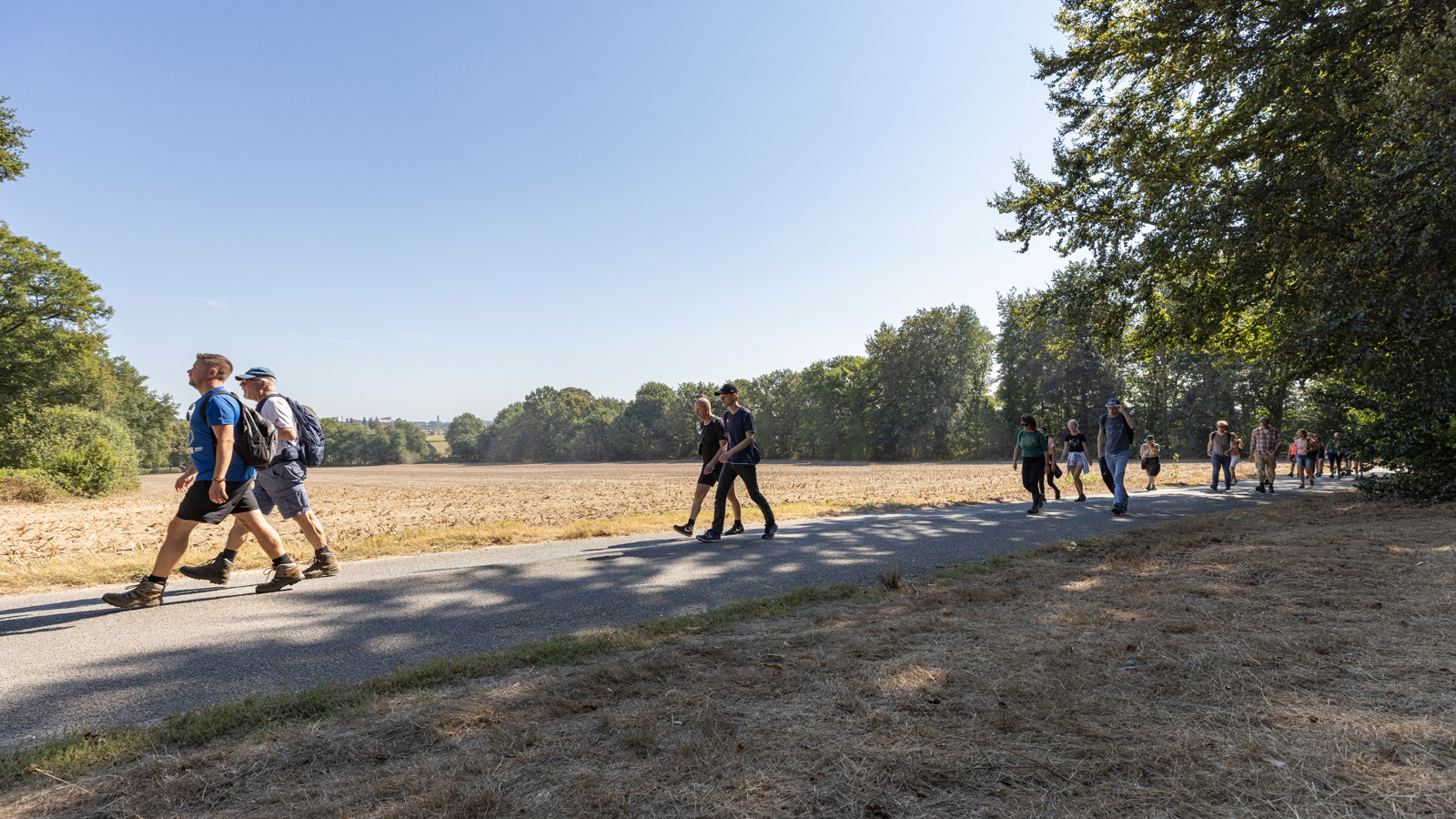 Header Minder Mensen In Beweging Door Toegenomen Regeldruk