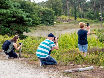 afbeelding van deelnemers aan een fotografieworkshop in de natuur.