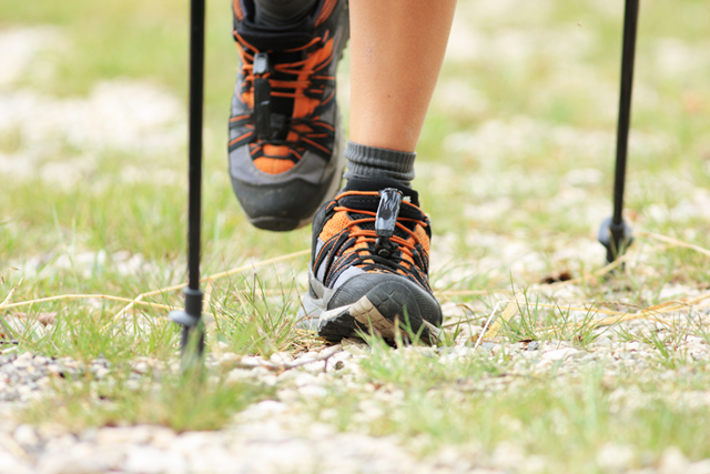 Kooptips Nordic Walking Stokken Lengte