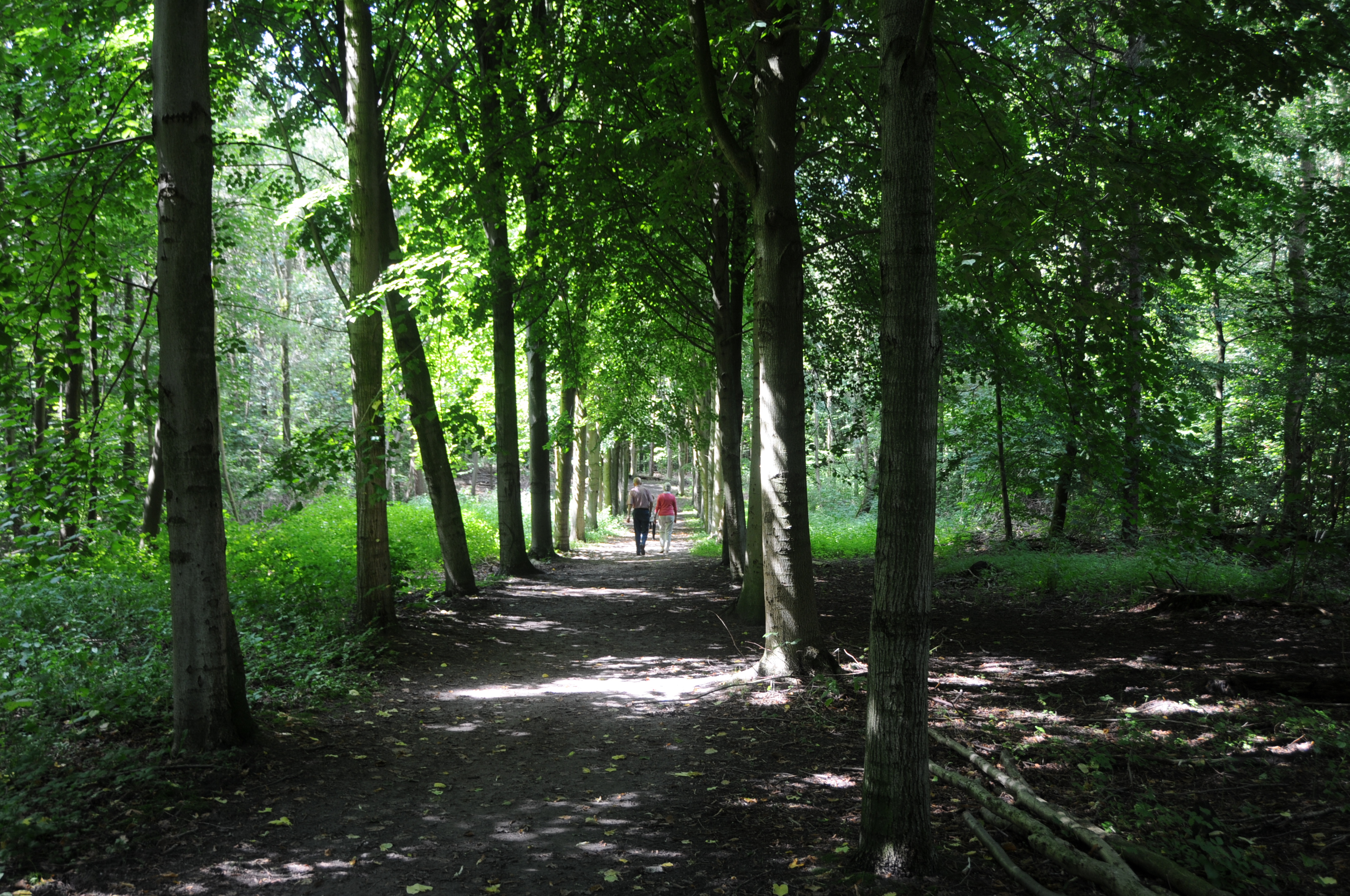 De stille kern Horsterwold Zeewolde