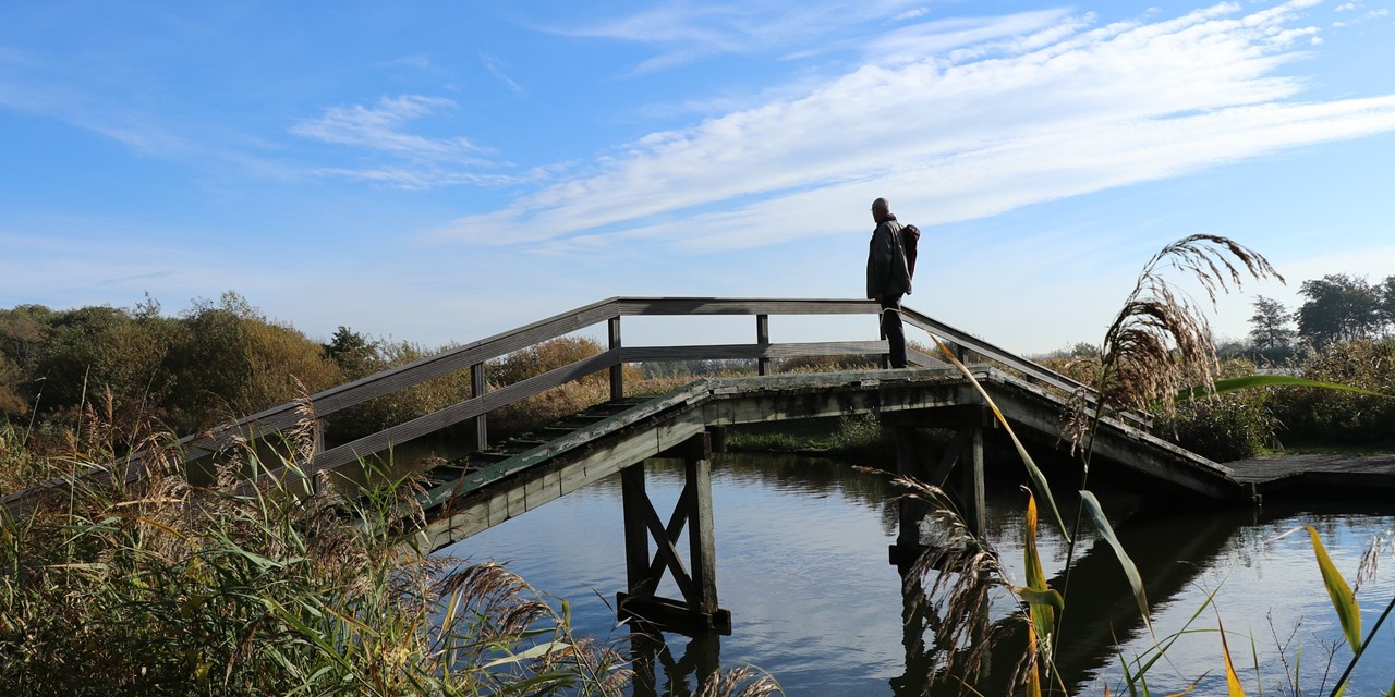 Wandelaar Brug