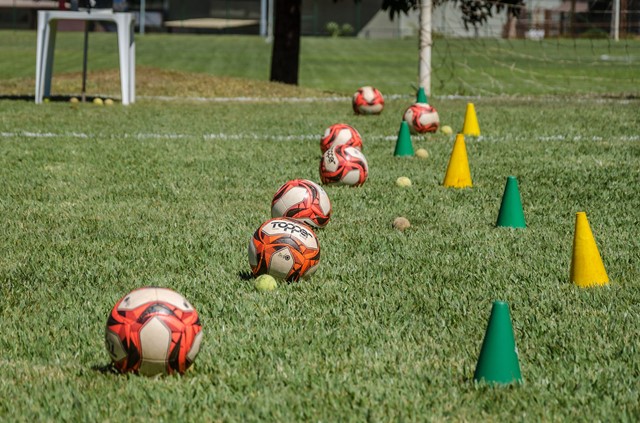 Ballen en pionnen op een grasveld