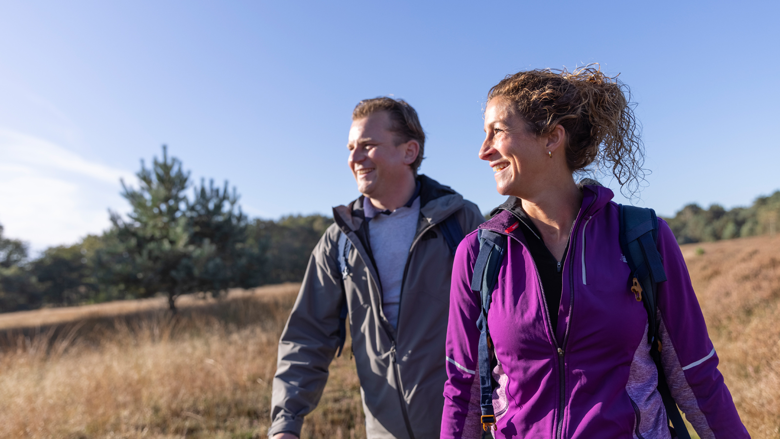 Header Marktonderzoek 2025