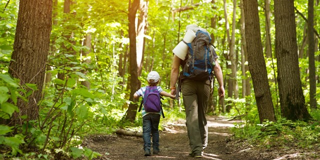 Vader Kind Wandelen In Bos 1280