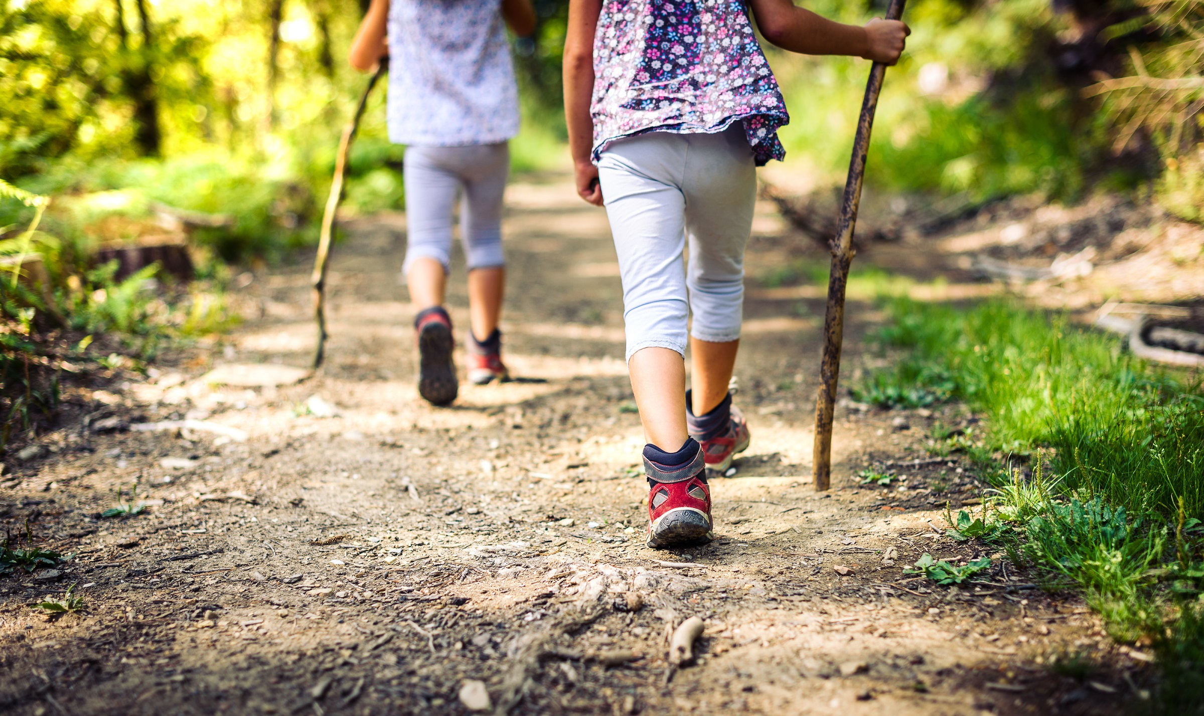 Wandelende kinderen met wandelstok