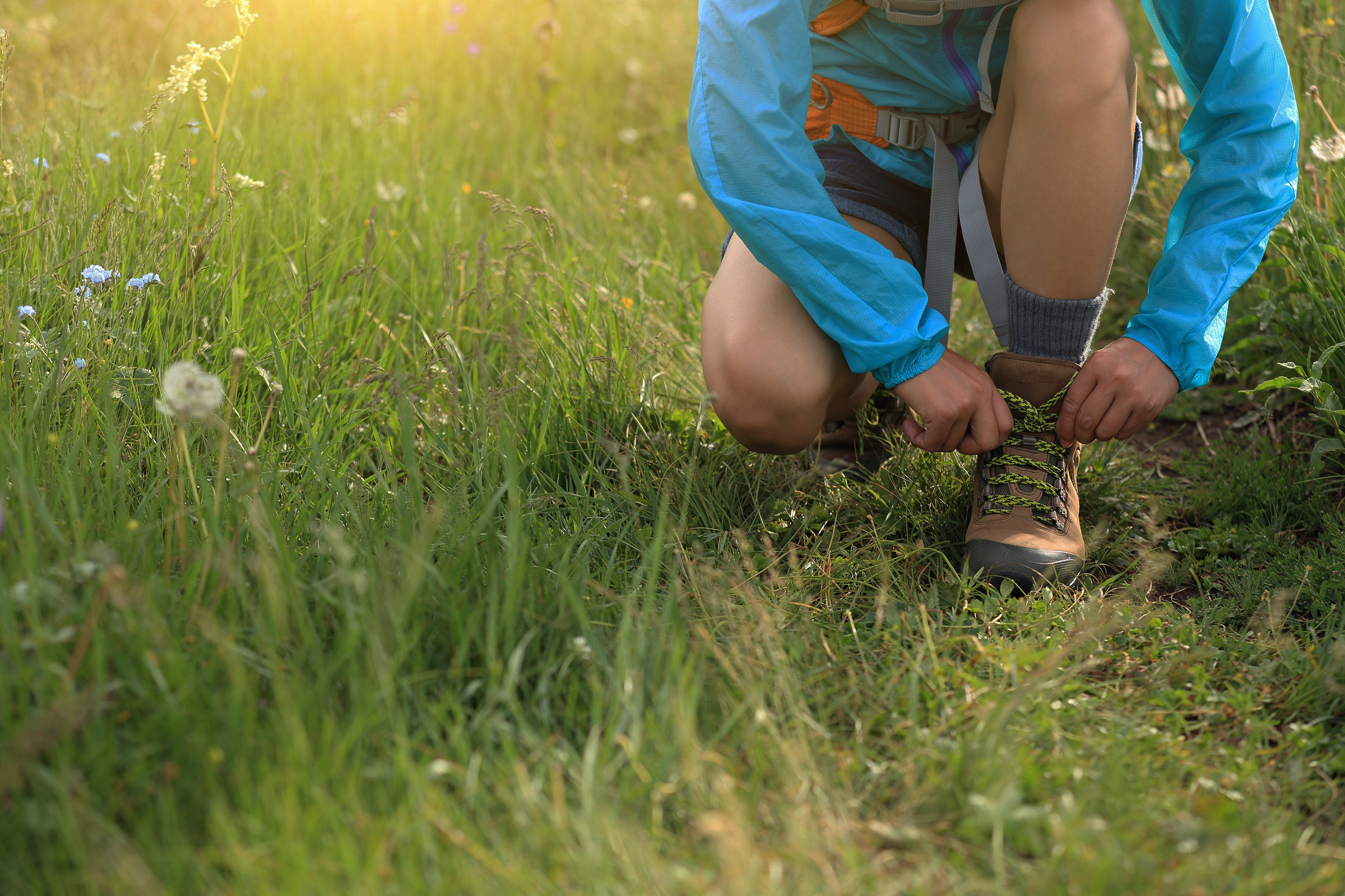 Header | /lid-worden2