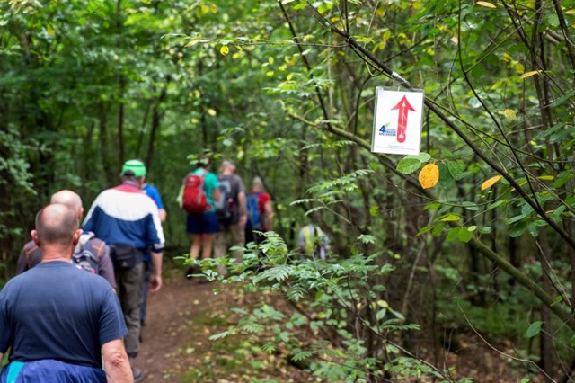 Wandelaars op Vierdaagse van Apeldoorn