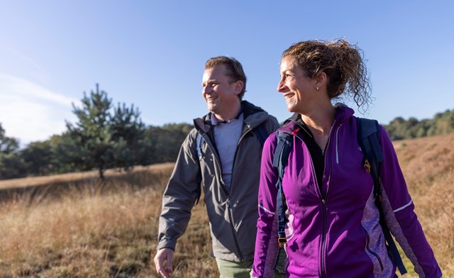 Wandelen op de hei