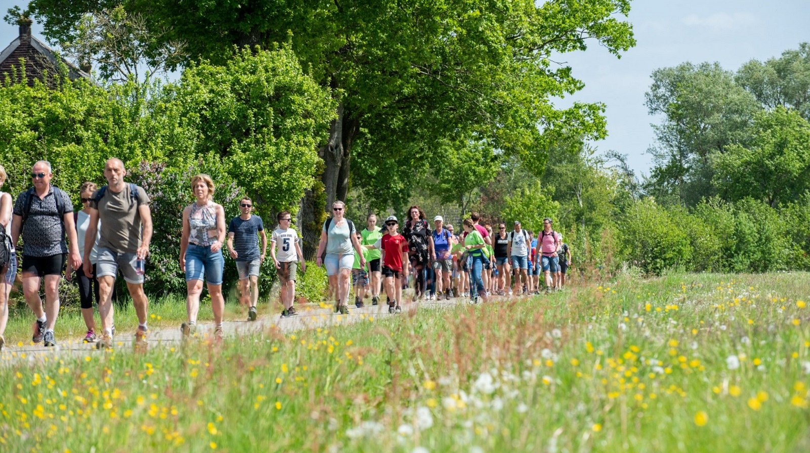 Veluwe Wandeltocht Nijkerk 2