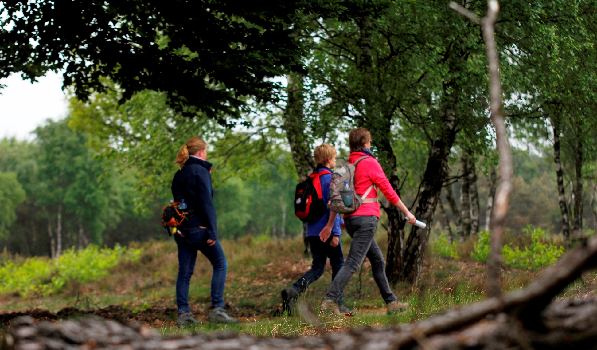 3Ca3133d 2A95 47D7 8B11 4Cb6fd1793cc Opzeggen2