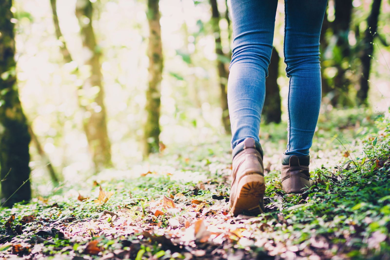 afbeelding van wandelbenen in het bos.