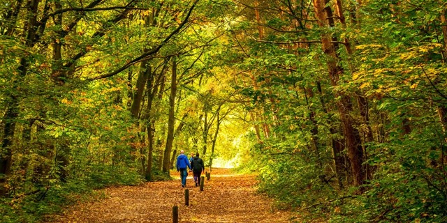 Beesel Wandelen Natuur Herfst 2