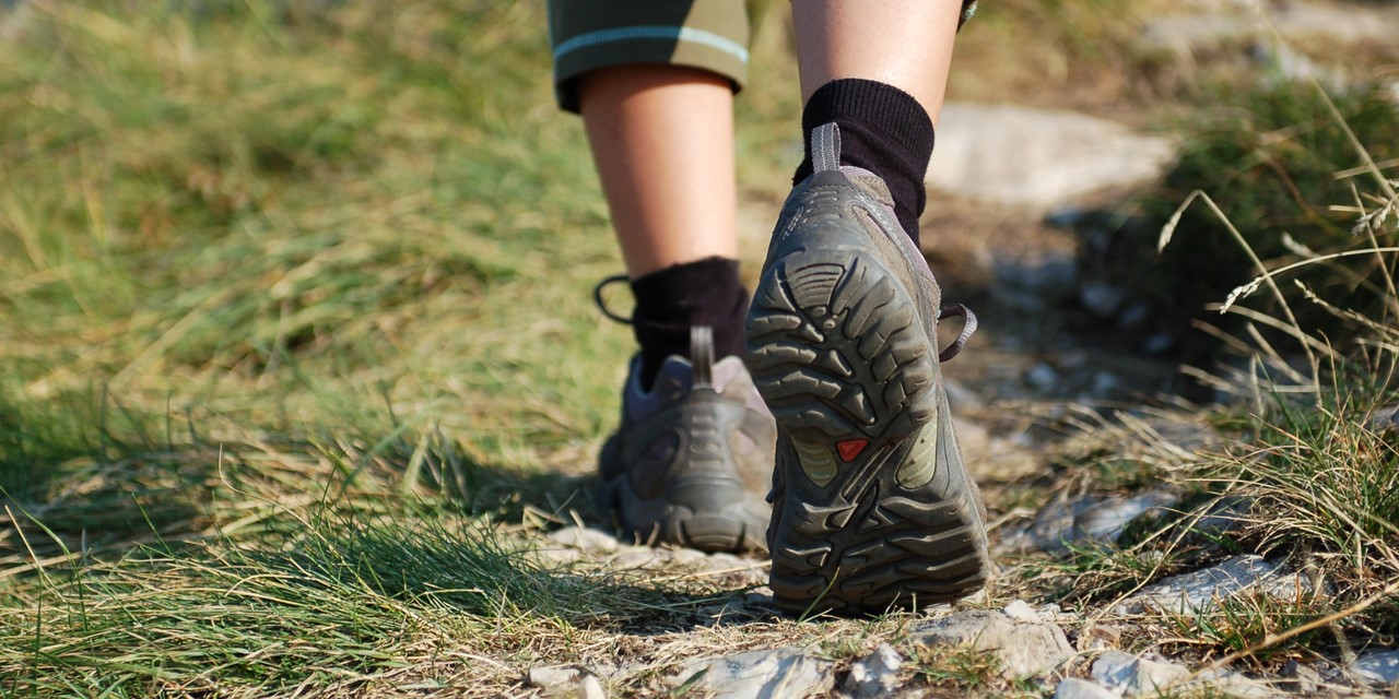Header | /wandelvoordeelpas-wandelevenementen-vlaanderen