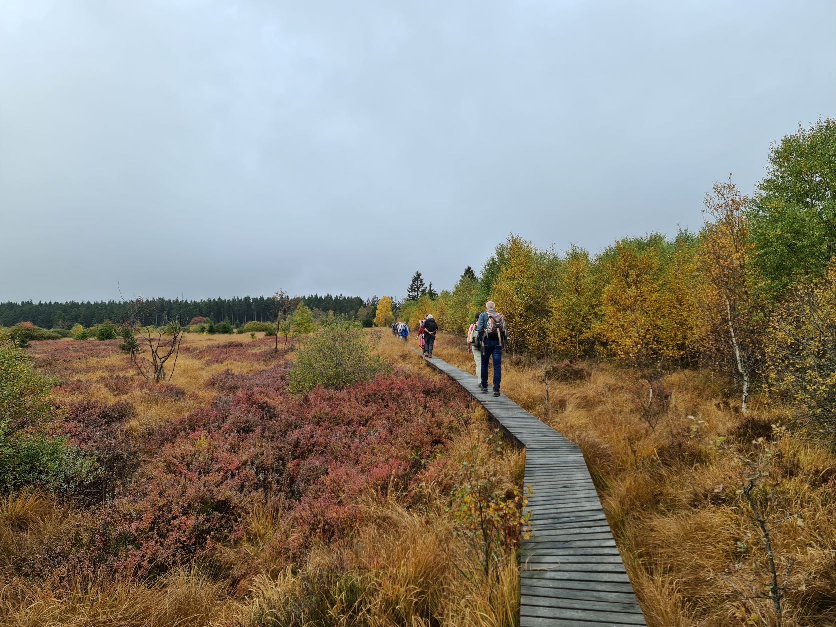 Wandelreis Hoge Venen Oost-België - KWbN