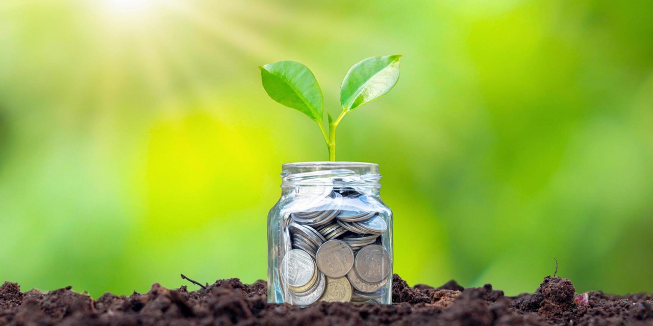 Plant in glazen pot met munten