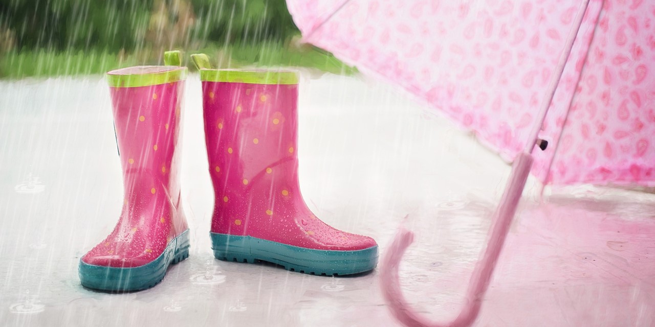 Zoek Een Lokale Weerman