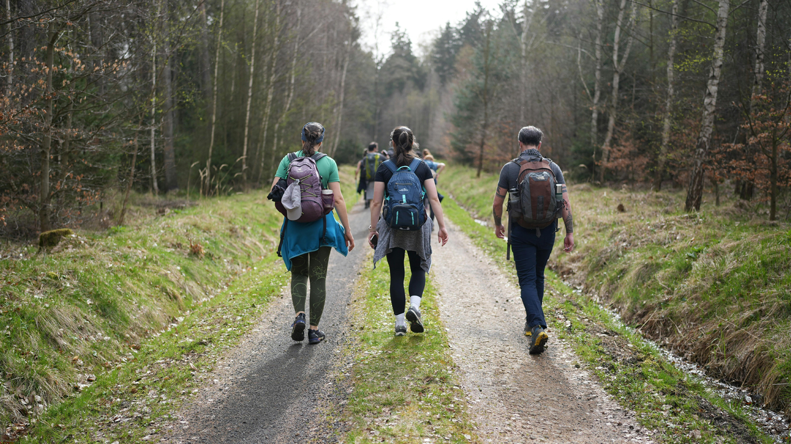 Bijscholing Lange Afstanden Pexels Abdulmomen Bsruki