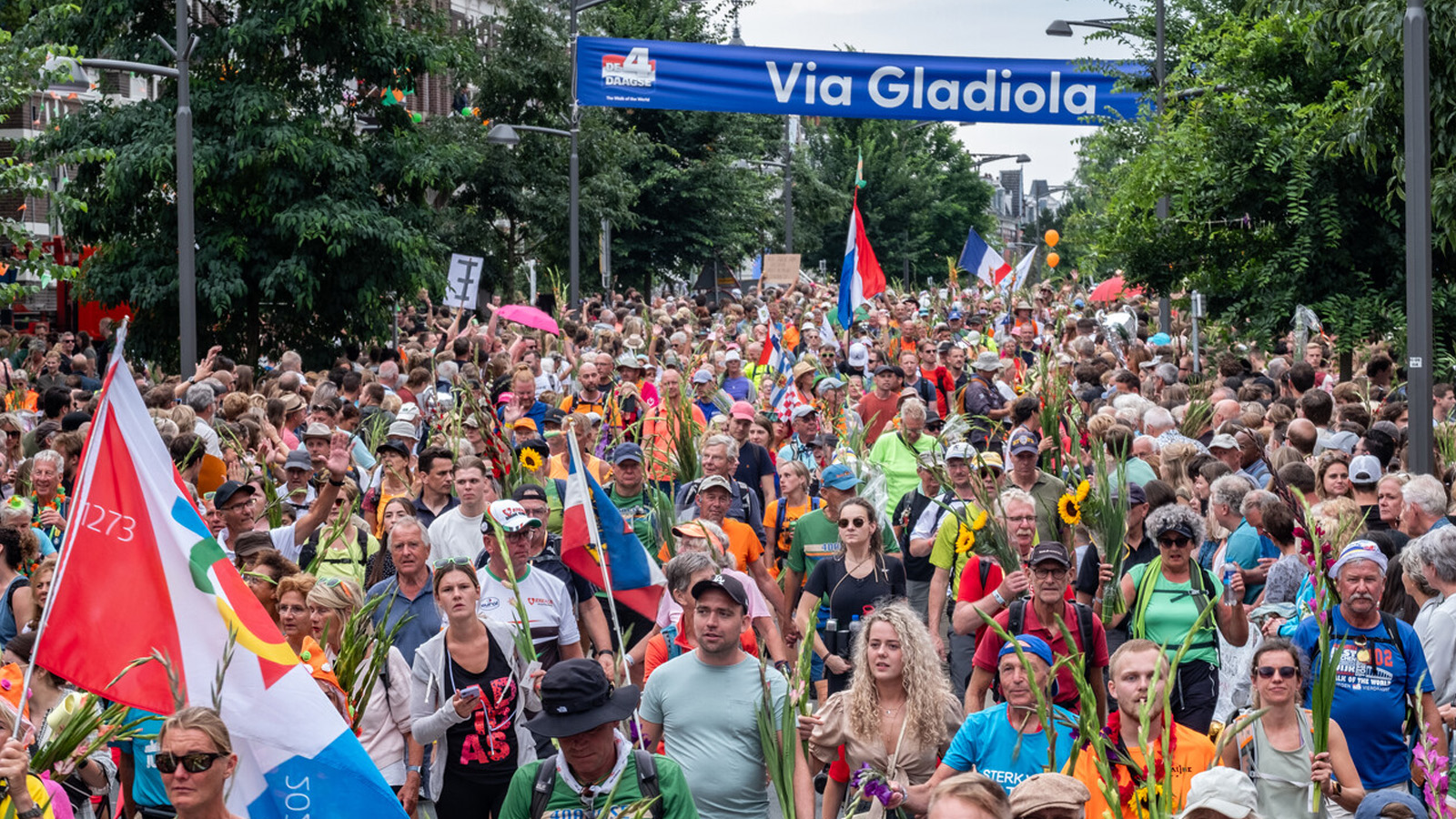 Header Via Vierdaagse Intocht 4Daagse Foto Duncan De Fey