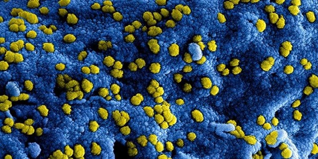 Wat Moeten We Met Het Coronavirus V8409