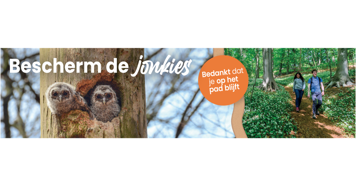 Header Campagne Broedseizoen Bescherm De Jonkies