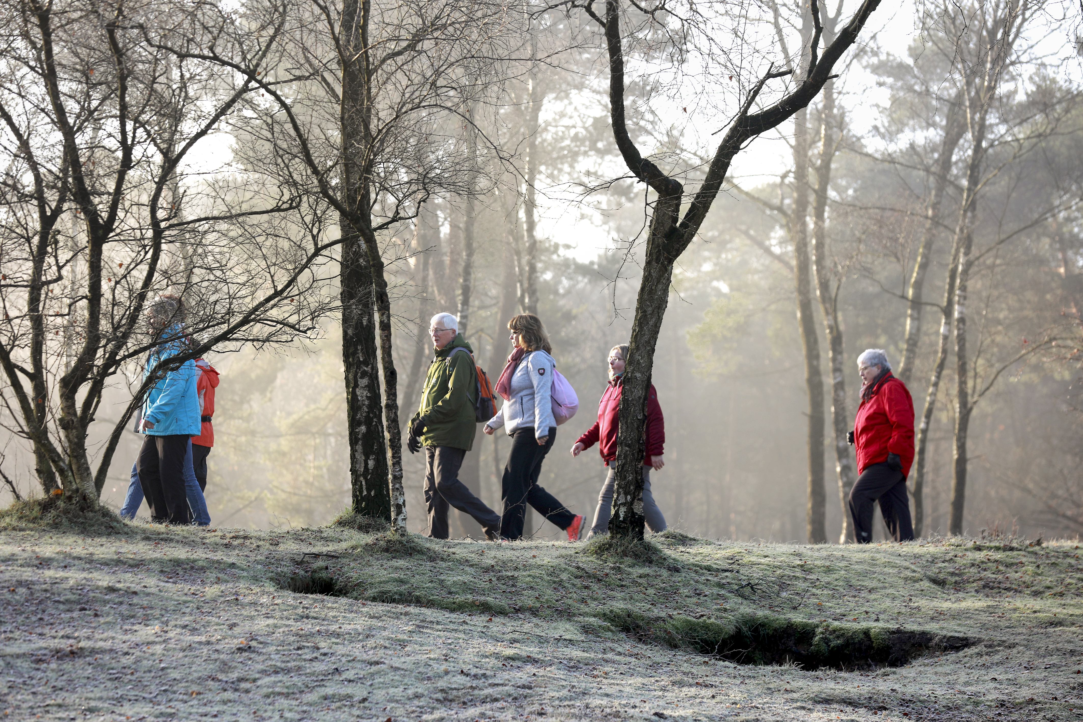 Header | Nieuwsbrief