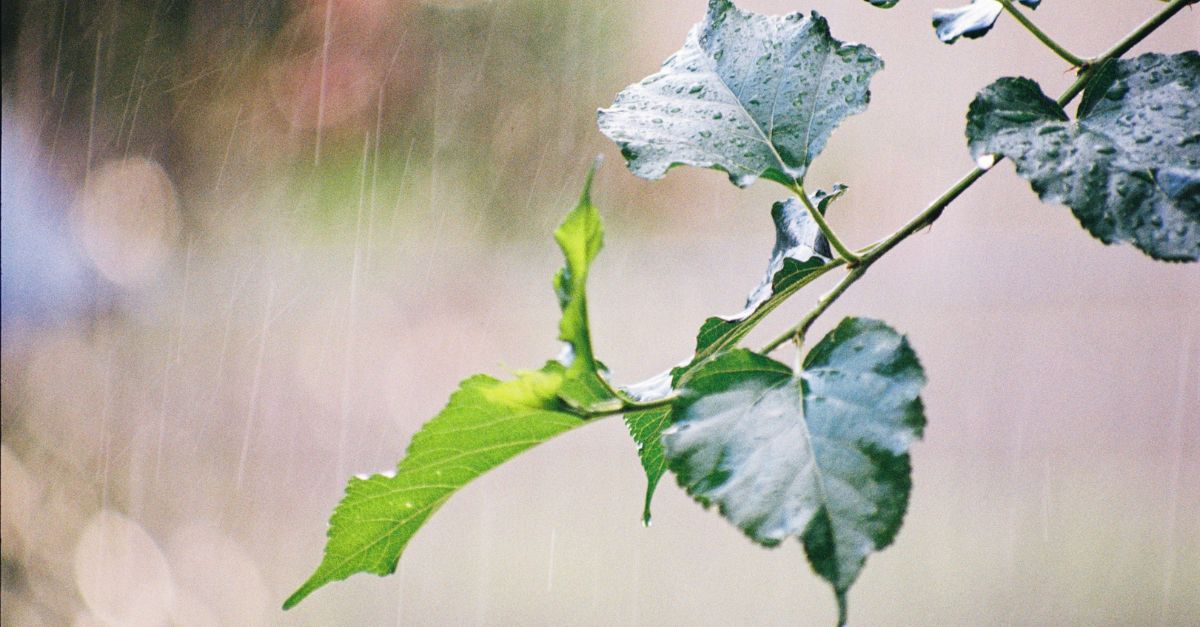 Header Motivatie Training In De Herfst