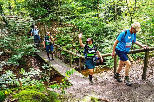 Wandelaars lopen in een bos over een bruggetje
