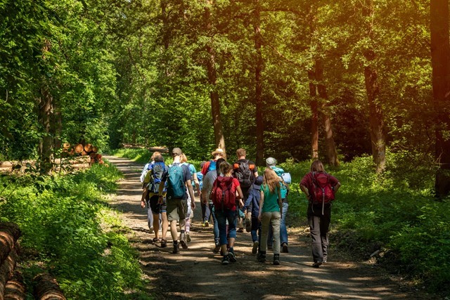 Shutterstock 1783397201