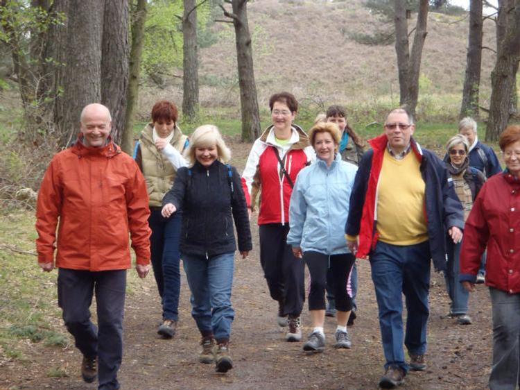 Groep aan het wandelen in het bos