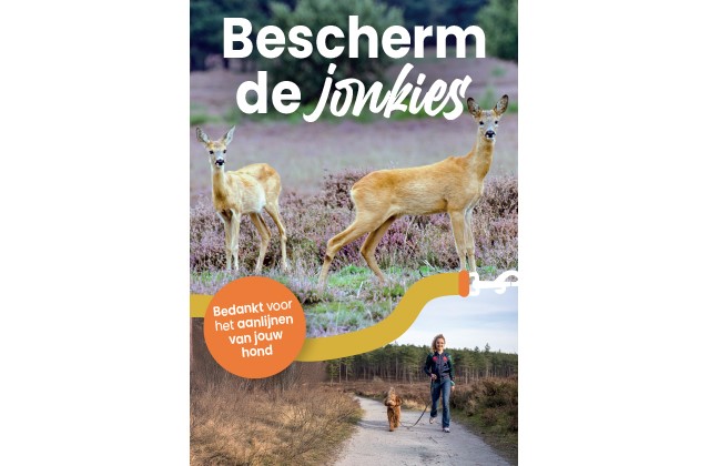 Afbeelding Bescherm De Jonkies Honden Aan De Lijn