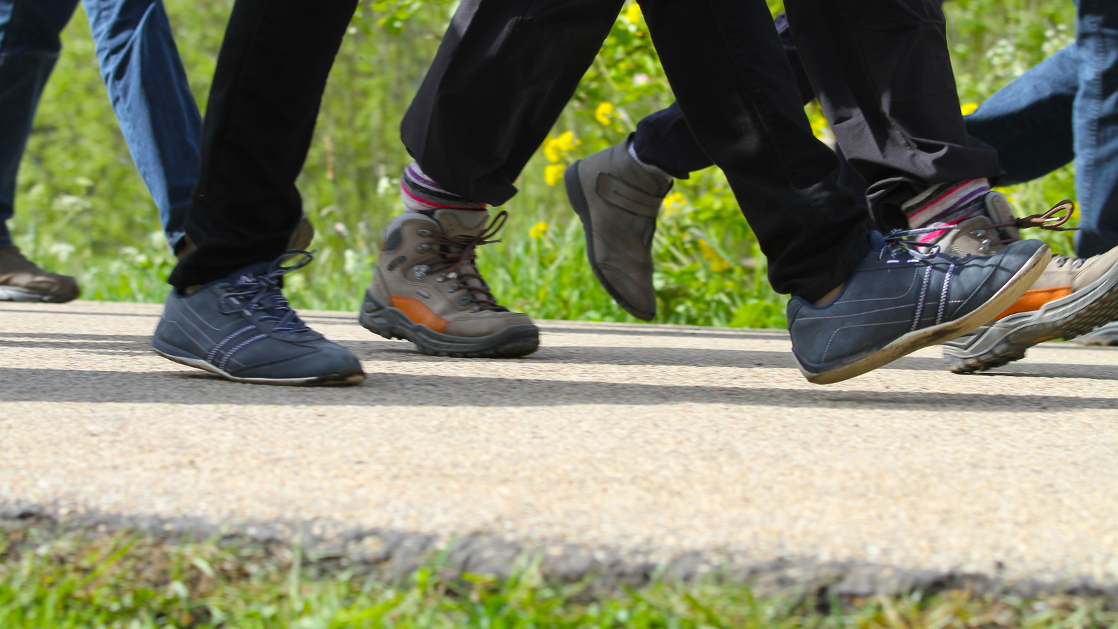 Voeten van wandelaars wandelend op een pad