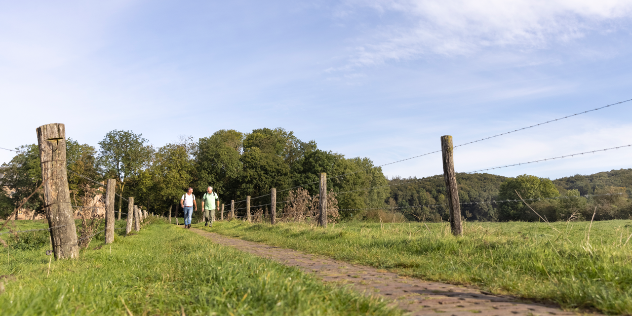 Twee wandelaars op pad tussen de weilanden