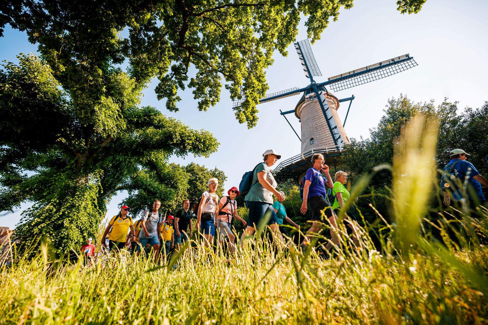10X Vierdaagse Wandeltochten In Nederland; Molen Alkmaar